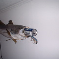 2005 1218AA